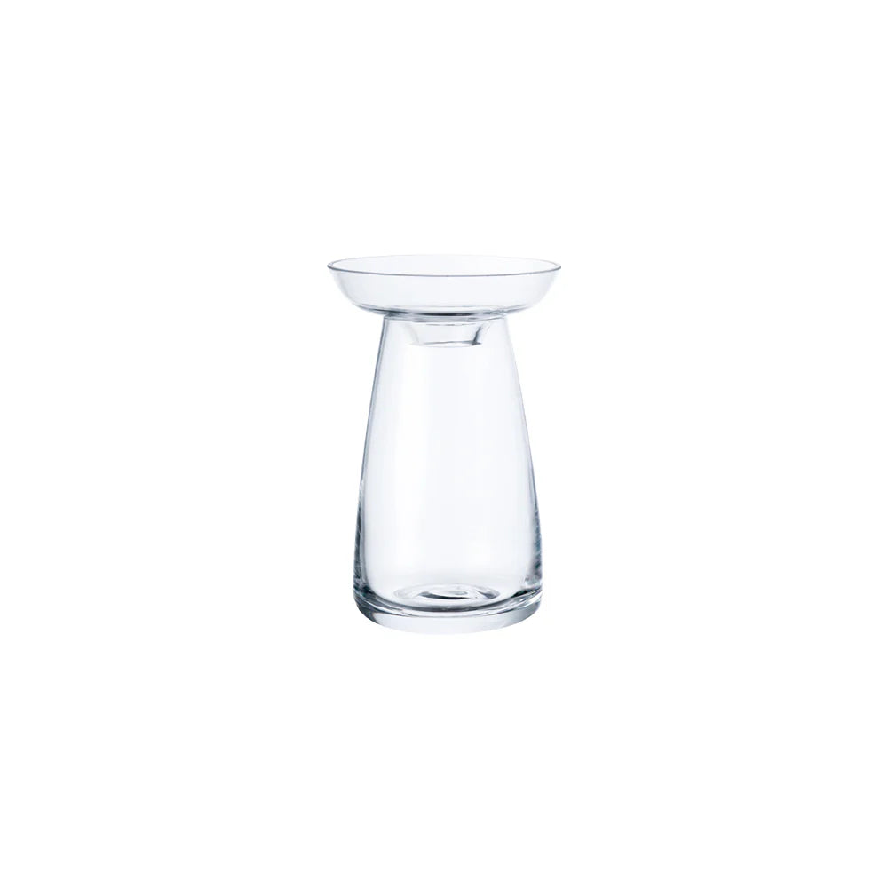 Clear glass vase on a white background