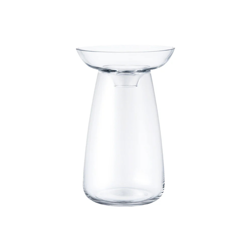 clear glass vase on a white background 