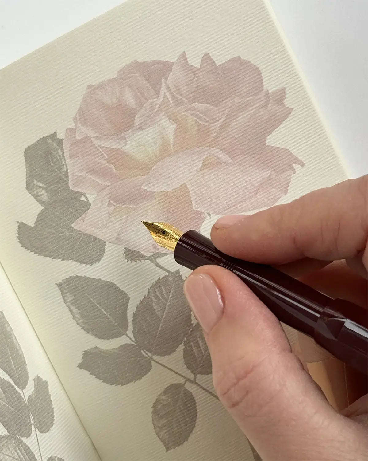 Hand holding a fountain pen over a notebook with floral design