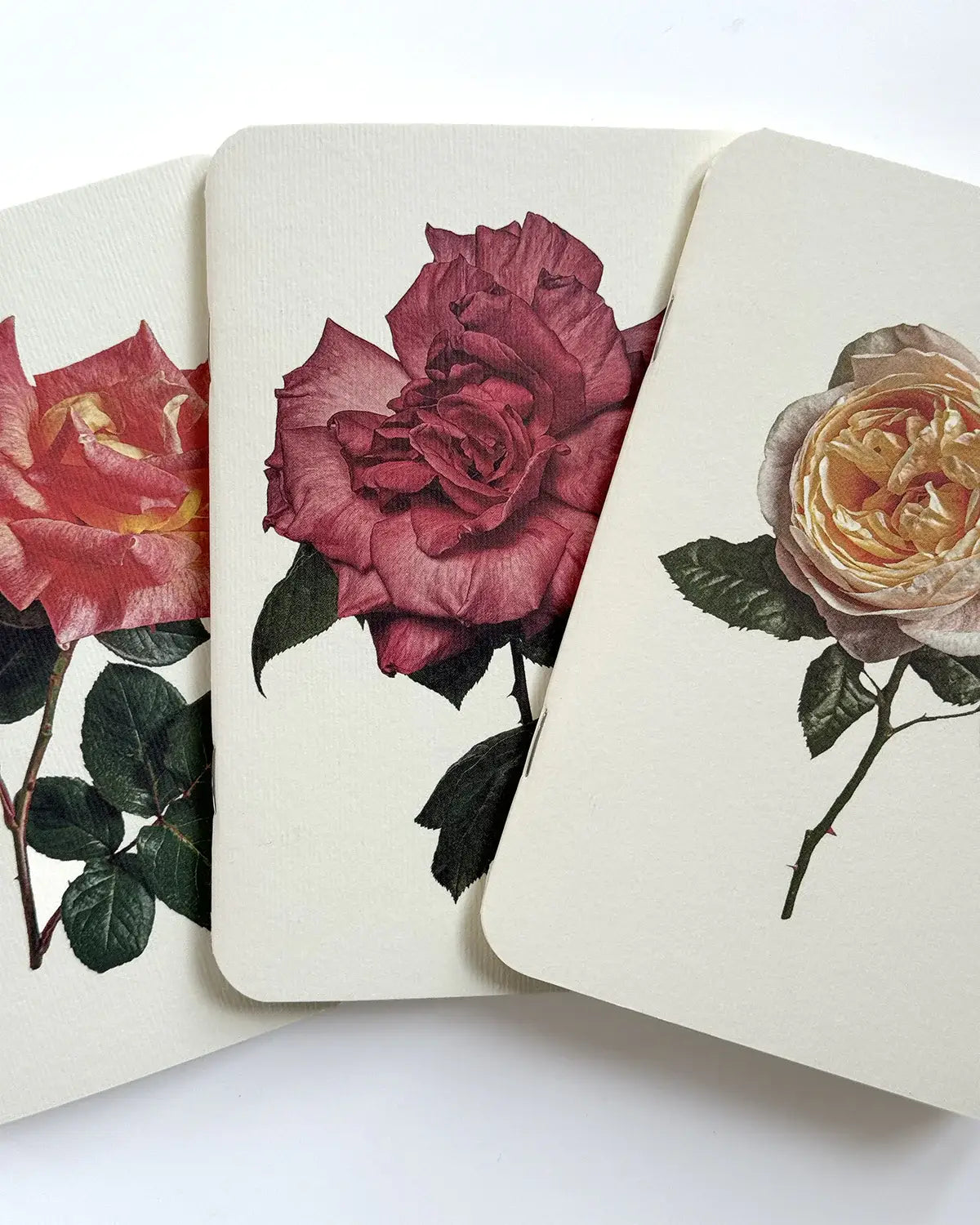 Three notebook designs featuring roses on a white background