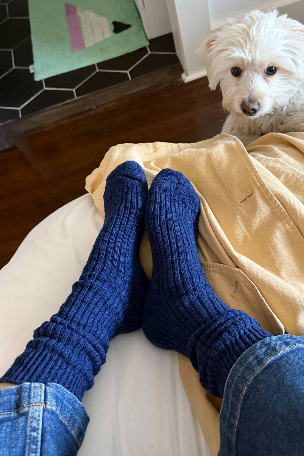 Person wearing blue socks with a white dog sitting on a couch in the background.