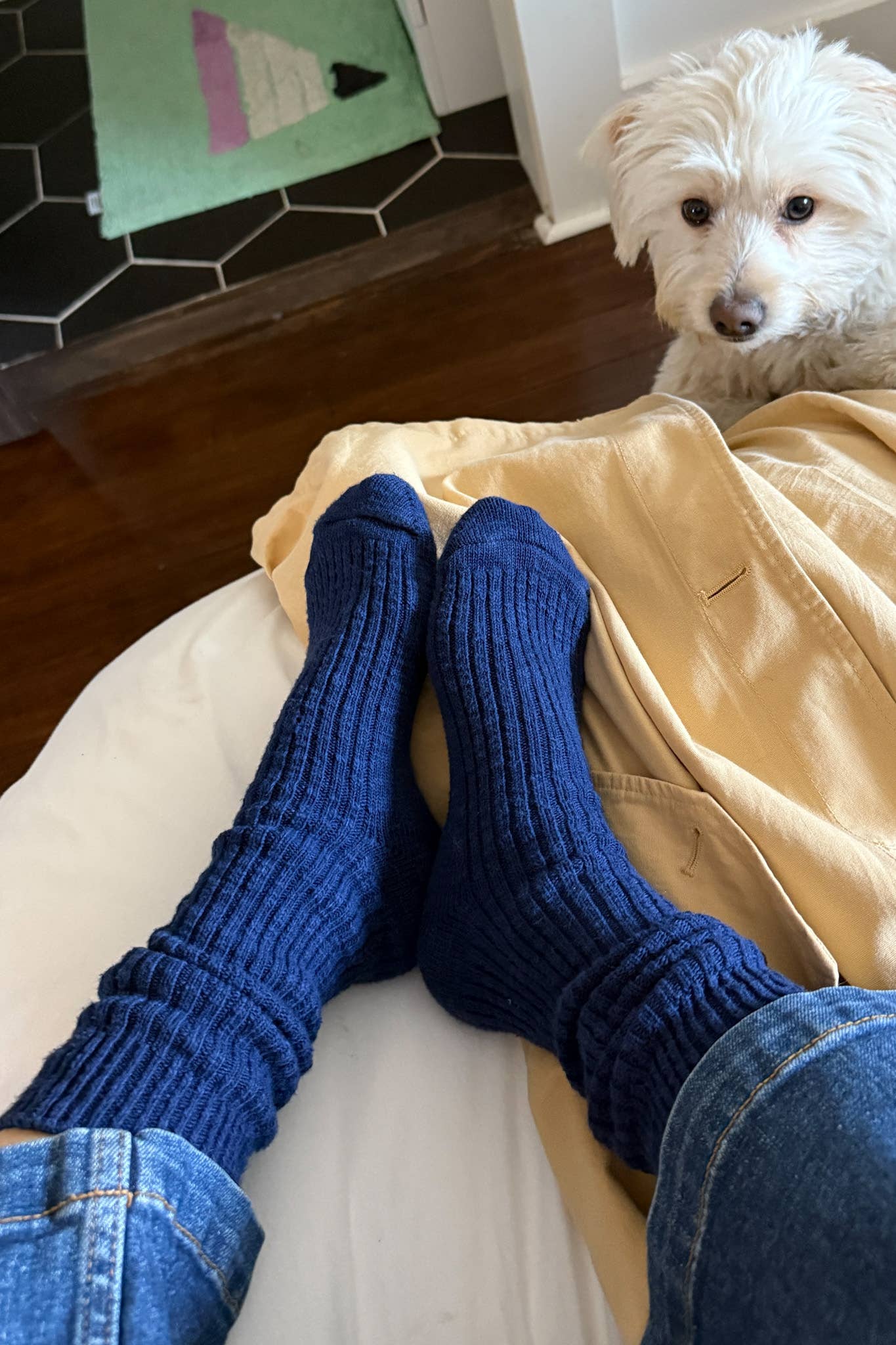 Person wearing blue socks with a white dog sitting on a couch in the background.