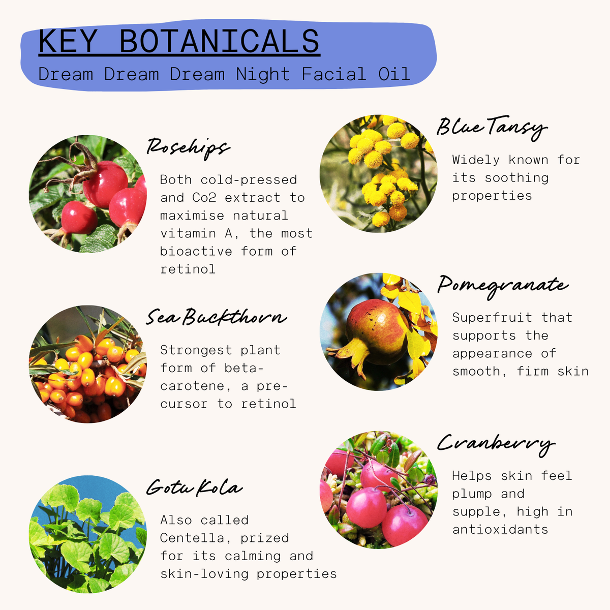 Key botanicals of Dream Dream Dream Night Facial Oil with images and descriptions.