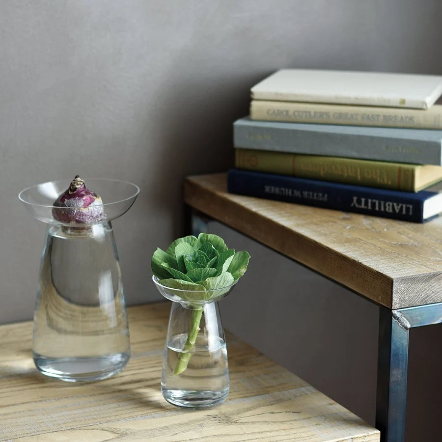 Two small glass vases with plants on a wooden surface next to a stack of books.